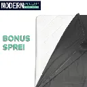 Kasur Busa Kasur Lipat Trifold Modern Foam Bonus Sprei.webp